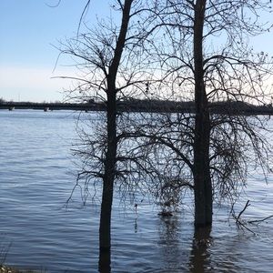 Meet your Posher, Rajaa